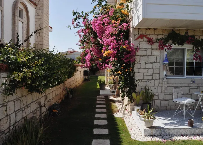 Muejde Alacati * Çeşme