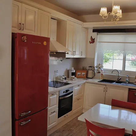 Muejde Alacati מלון *